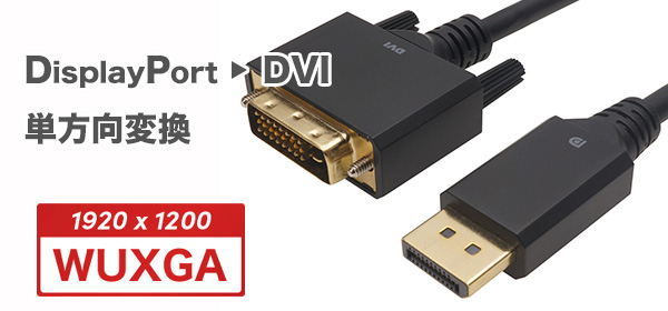 23.02.07 / DisplayPort→DVI変換ケーブル&アダプタ